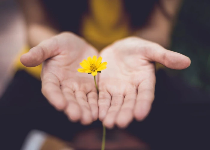 Flower in hand Flower in hand